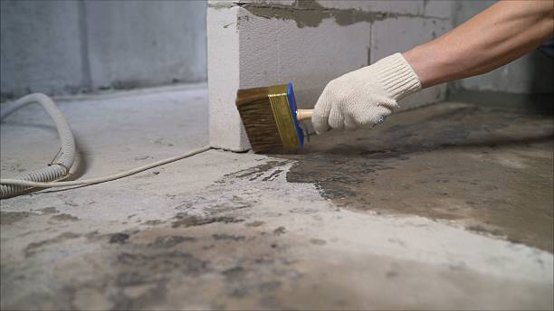 SJ Waterproofing Pros Waterproofing coverage map for Waynesboro, TN and surrounding area